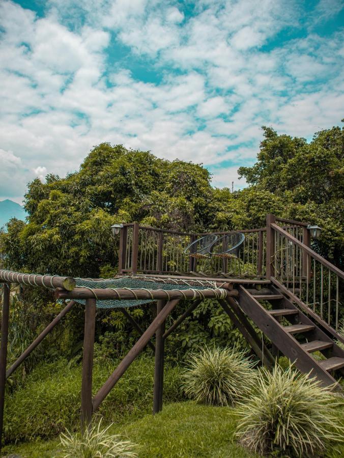 All Natural Glamping 科帕卡瓦纳 外观 照片