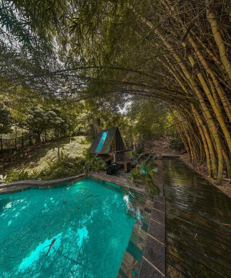 All Natural Glamping 科帕卡瓦纳 外观 照片